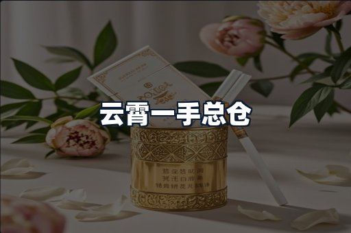 云霄一手总仓
